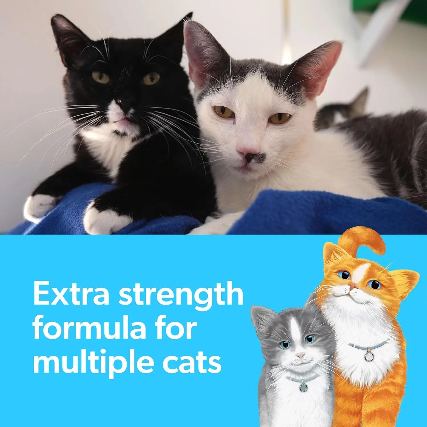 Multi-Cat Clumping Litter 14lbs,