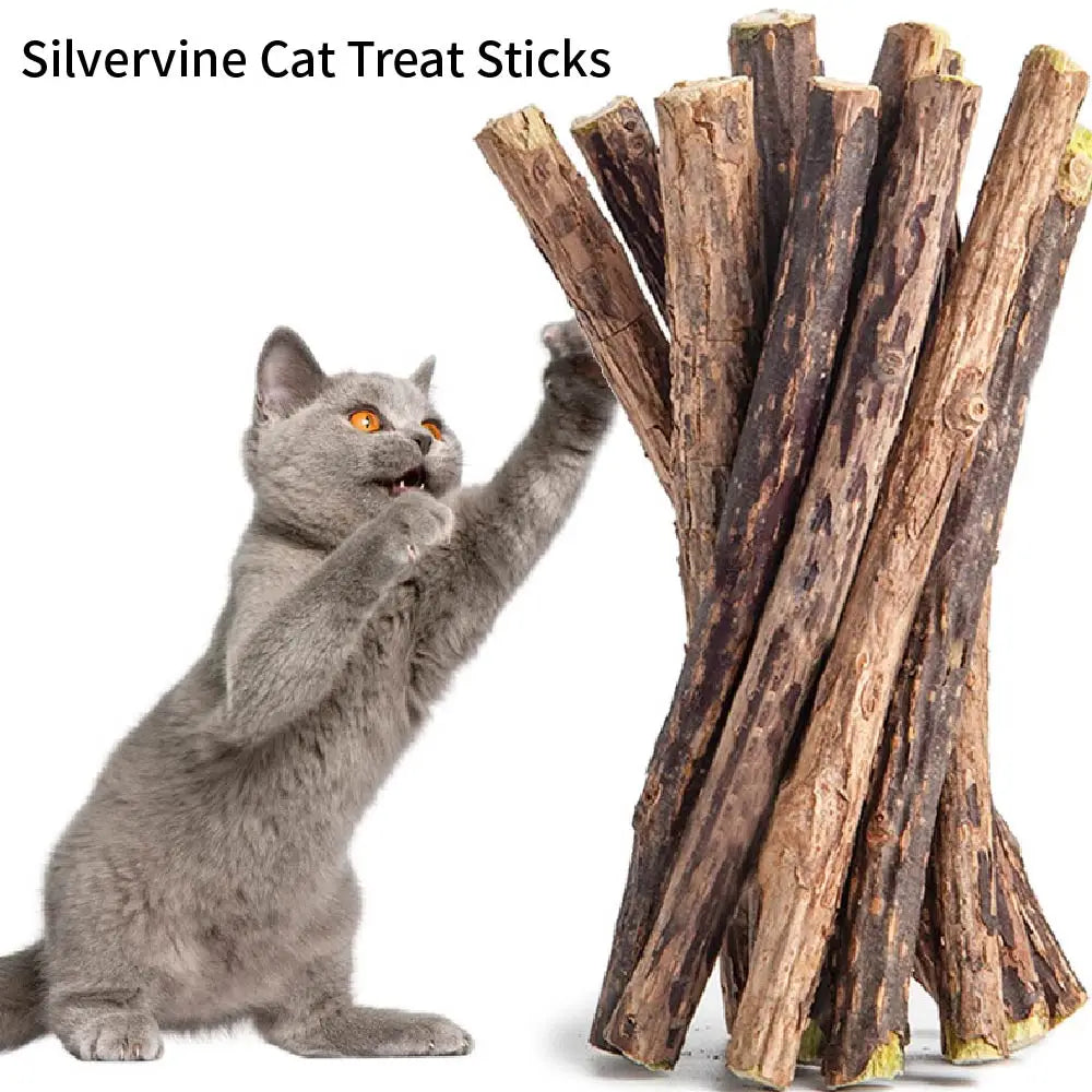 10pcs Silver Vine Sticks for Cats, Natural Catnip , Cat Chew Sticks, Kitten Teething