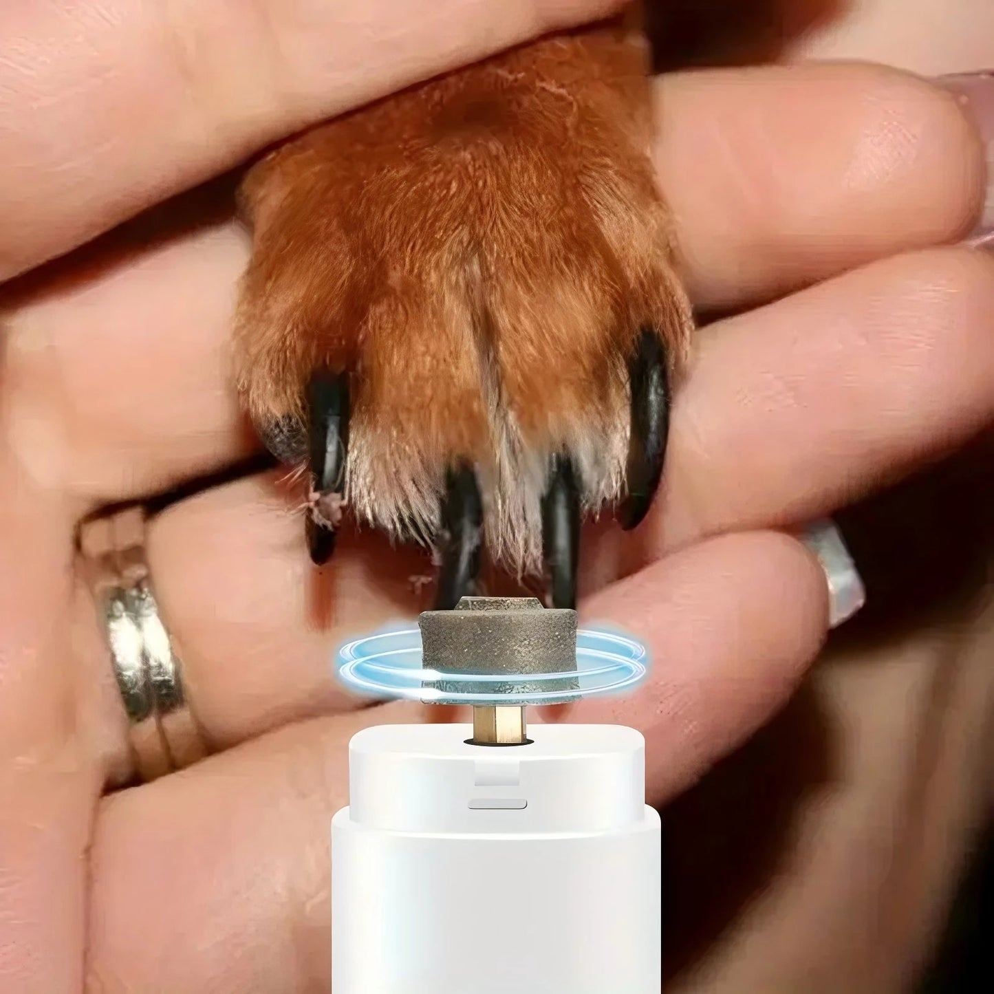 Electric Pet Nail Grinder USB Rechargeable Cat & Dog Nail Clipper