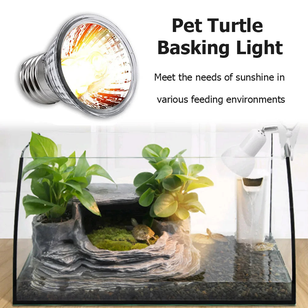 Reptile Tortoise UVA UVB Heating